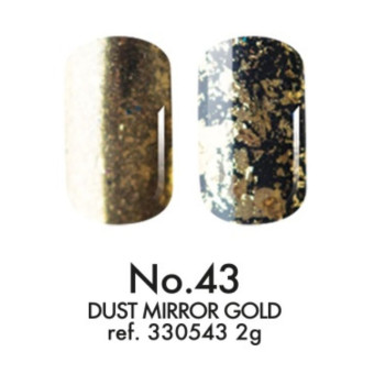 Victoria Vynn -  Pyłek DUST MIRROR GOLD No 43