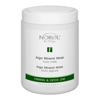 Norel - Firming & Detox Line Alga Mineral Mask - błoto algowe - 1000ml